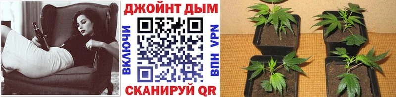 хочу   Краснообск  Каннабис Amnesia 